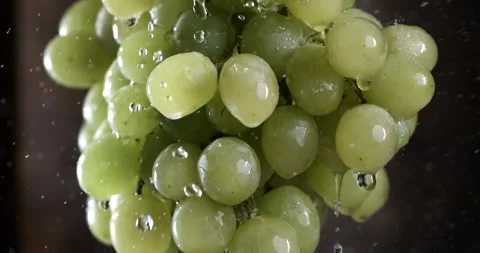 Macro of splashing water drops fall on bunch of fresh bio organic green grape Stock Footage 269044866