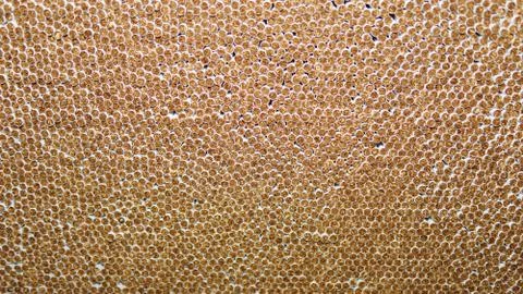 Macro of stack of the cigarettes for backgrounds Foto stock