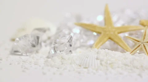 Macro Starfish Beach Rack Focus Stock Footage 57750473