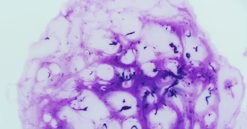 Macro Static Slow Motion Shot of Paint (Abstract Visual Effects) Stock Footage 85064253