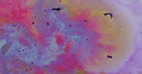 Macro Static Slow Motion Shot of Paint swirling (Abstract Visual Effect) Stock Footage 85064268
