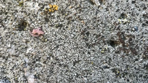 Macro Stones Texture, Stop Motion, Looped Stock Footage 248318826