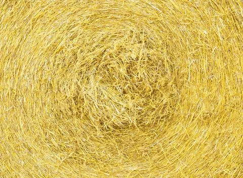 Macro straw texture, collected in a roll of hay in summer sunlight. Stock Photos