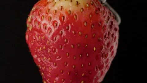 Macro strawberry chocolate drip slow motion liquid cocoa delicious food lust Stock Footage 274304681