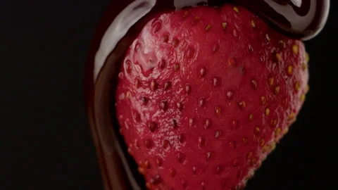 Macro strawberry chocolate drip slow motion liquid cocoa delicious food lust Stock Footage 274305056