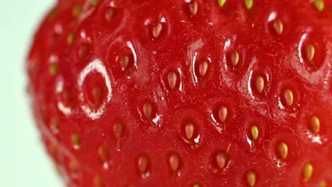 Macro Strawberry on white background  up with copy space Stock Footage 301570594