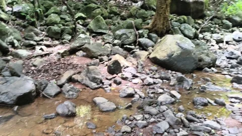 Macro Streambed Textures Weathered Stones Stock Footage 341017581