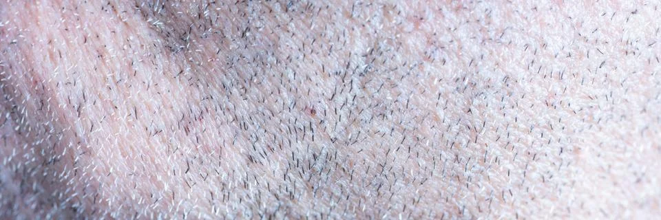 Macro of stubbles in a man's face Stock Photos