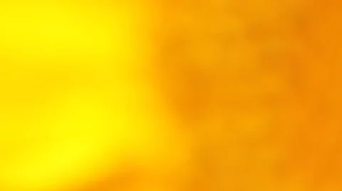 Macro of a sunflower. Stock Footage 68555359