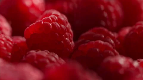Macro sunlit raspberries in dappled light. Freshness for ads and recipes Stock Footage 314179145