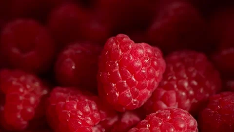 Macro sunlit raspberries in dappled light. Freshness for ads and recipes 動画素材 314179188