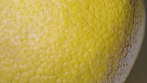 Macro of the surface of an orange Stock Footage 172335570
