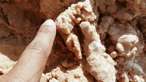 Macro Texture of Ancient Fossilized Coral Formations in Natural Rock Face 库存影片 333611680