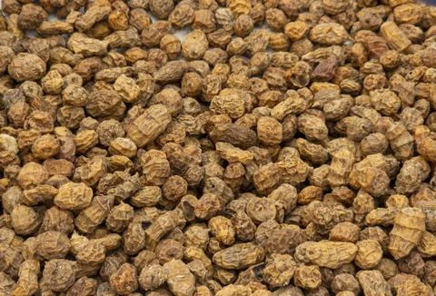 Macro texture background of dried tiger nuts used for healthy snacks and tr.. Stock Photos