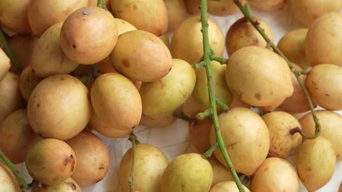 Macro Texture Background of Harvested Ha Chau Baccaurea Fruits Stock Footage 335546269
