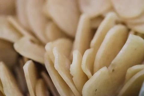 Macro Texture Background of Raw Oval Tapioca Crackers, Heap of Uncooked Kru.. 스톡 사진