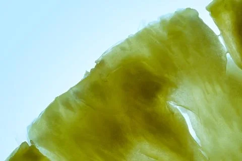 Macro Texture of Backlit Pineapple Slice Stock Photos