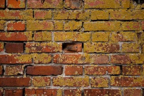 Macro texture of a beautiful red brickwork. Stock Photos