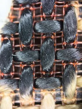 Macro texture of black fabric threads, close up background with selective focus Stock Photos