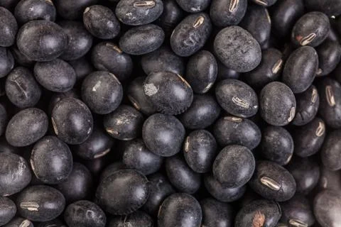 Macro texture of black soy beans Stock Photos