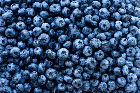 Macro texture of blueberry berries close up. Border design. Summer, vitamin Stock Photos