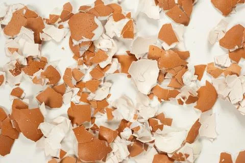 Macro Texture Brown Eggshell Background. Foto stock
