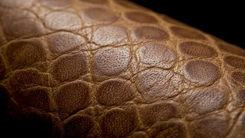 Macro Texture of Brown Scaled Reptile Leather Stock Illustration