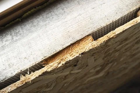 Macro texture building material. Stock Photos