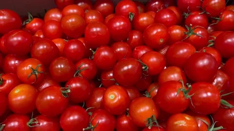 Macro Texture Cherry Tomato, Slider Shot Stock Footage 210173146