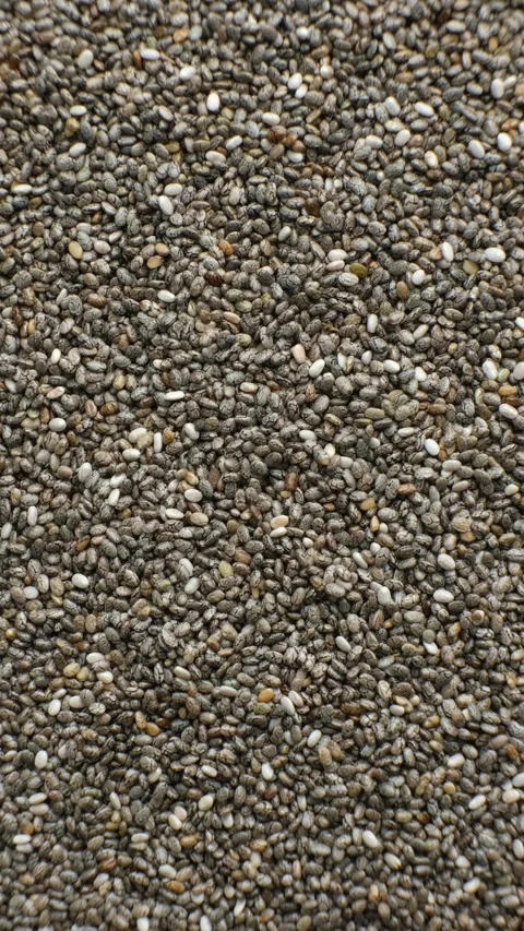 Macro Texture of Chia Seeds. Natural Grain Background. Vidéo 314577315