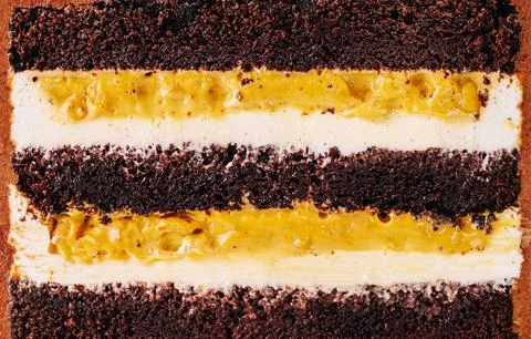Macro Texture Of Chocolate Layered Sponge Cake Stock Photos