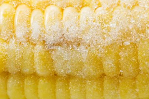 Macro texture of a cob of frozen corn Fotos de archivo