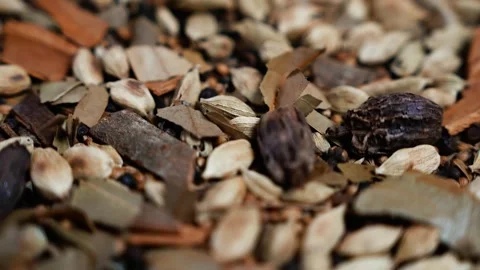 Macro texture of dried leaves and natural seed pods, Macro close-up of drie.. Stock Footage 346463755