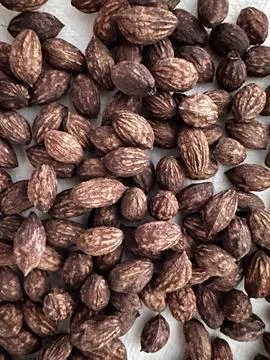 Macro texture of dried olive pits Stock Photos
