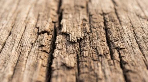 Macro texture of dry wood surface in natural light Foto stock