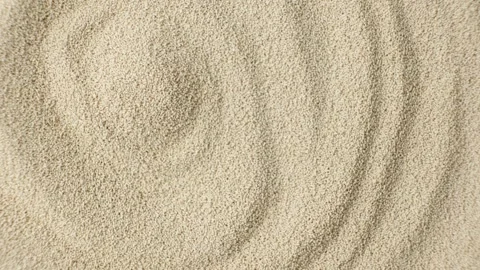 Macro Texture of Dry Yeast Used for Baking. Video stock 310249926
