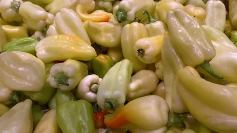 Macro Texture Fresh Pepper, Slider Shot Stock Footage 210173576