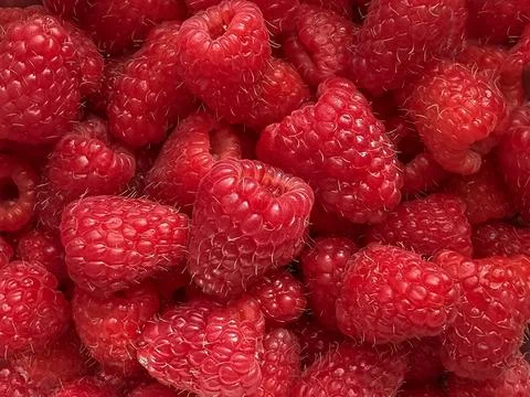 Macro texture of fresh raspberries. Фото