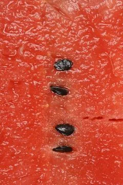 Macro texture of fresh red watermelon flesh with black seeds Stock Photos