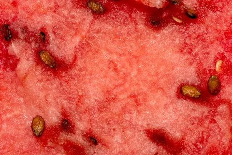 Macro texture of fresh red watermelon flesh with seeds. Stock Photos