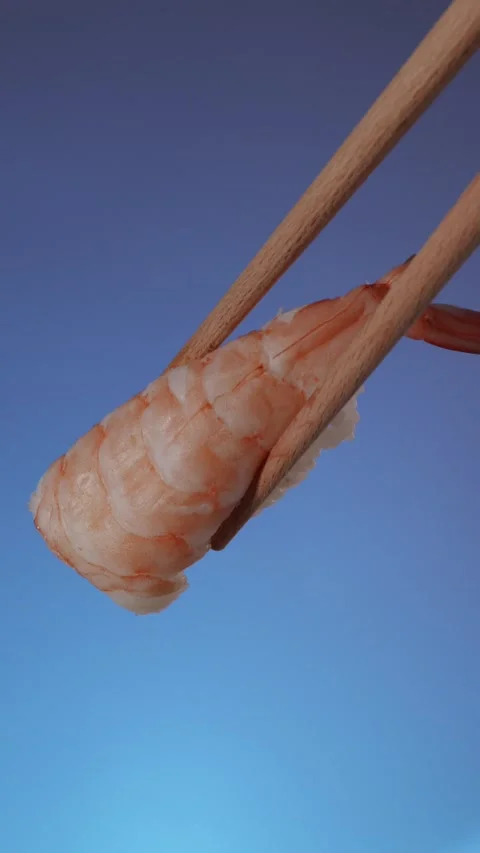 Macro texture of fresh shrimp ebi nigiri sushi held by chopsticks Stock Footage 335143660