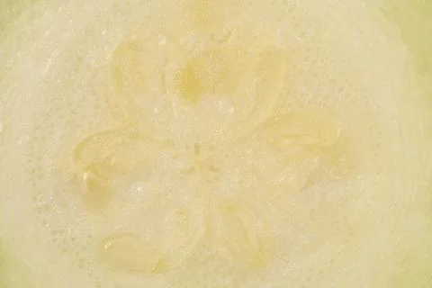 Macro Texture of Fresh Zucchini Slice Internal Structure Stock Photos