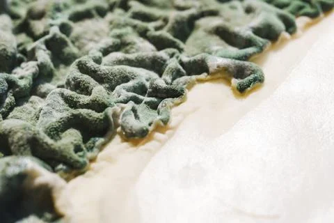 Macro texture of green mold covering spoiled cottage cheese, top view Stock Photos