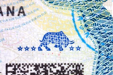 Macro texture of Italian Schengen visa sticker showing official blue bull emb 스톡 일러스트