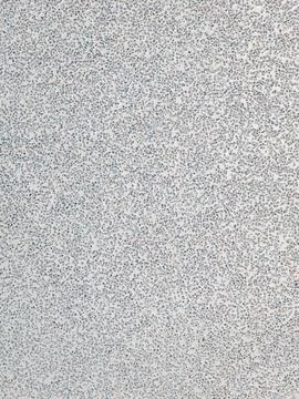 Macro texture of light speckled surface with abstract dotted pattern Stock Photos