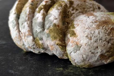Macro texture of moldy bread crust with green spores Stock Photos