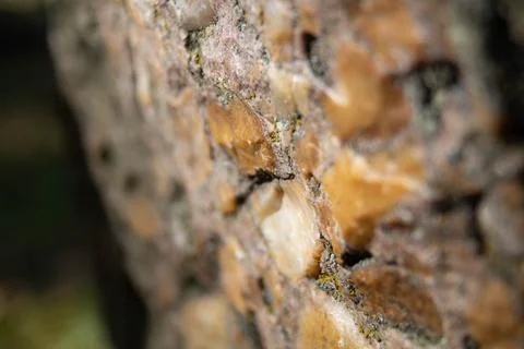 Macro texture of natural stone surface with lichens Stock Photos