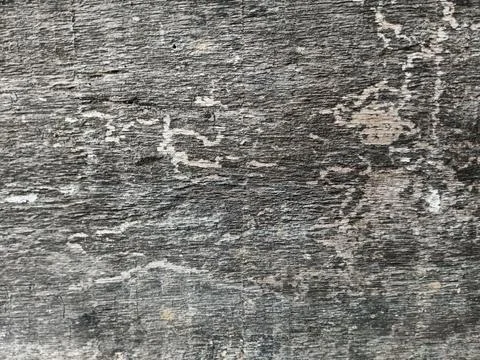 Macro texture of old weathered wood panel with termite damage Stock Photos