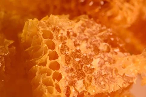 Macro texture of open honeycomb cells in warm light Stock Photos