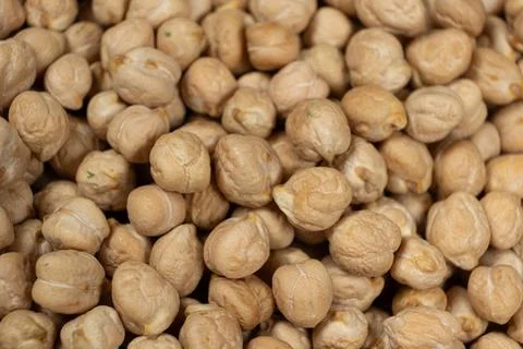 Macro texture of organic raw chickpea seeds. Stock Photos
